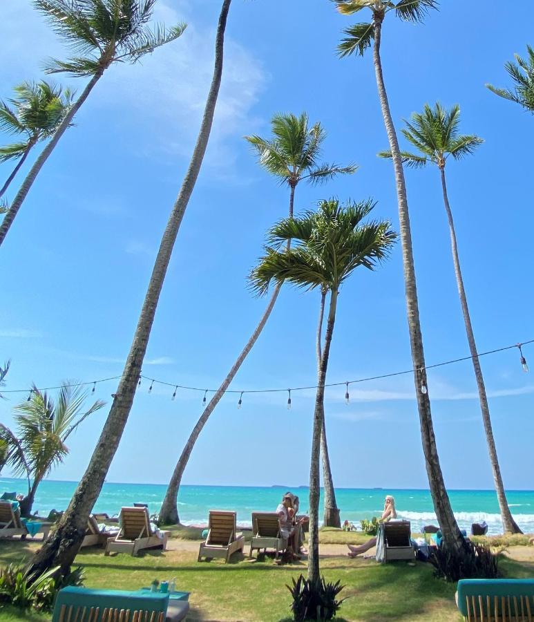 El Mosquito Boutique Hotel Playa Bonita Las Terrenas Zewnętrze zdjęcie