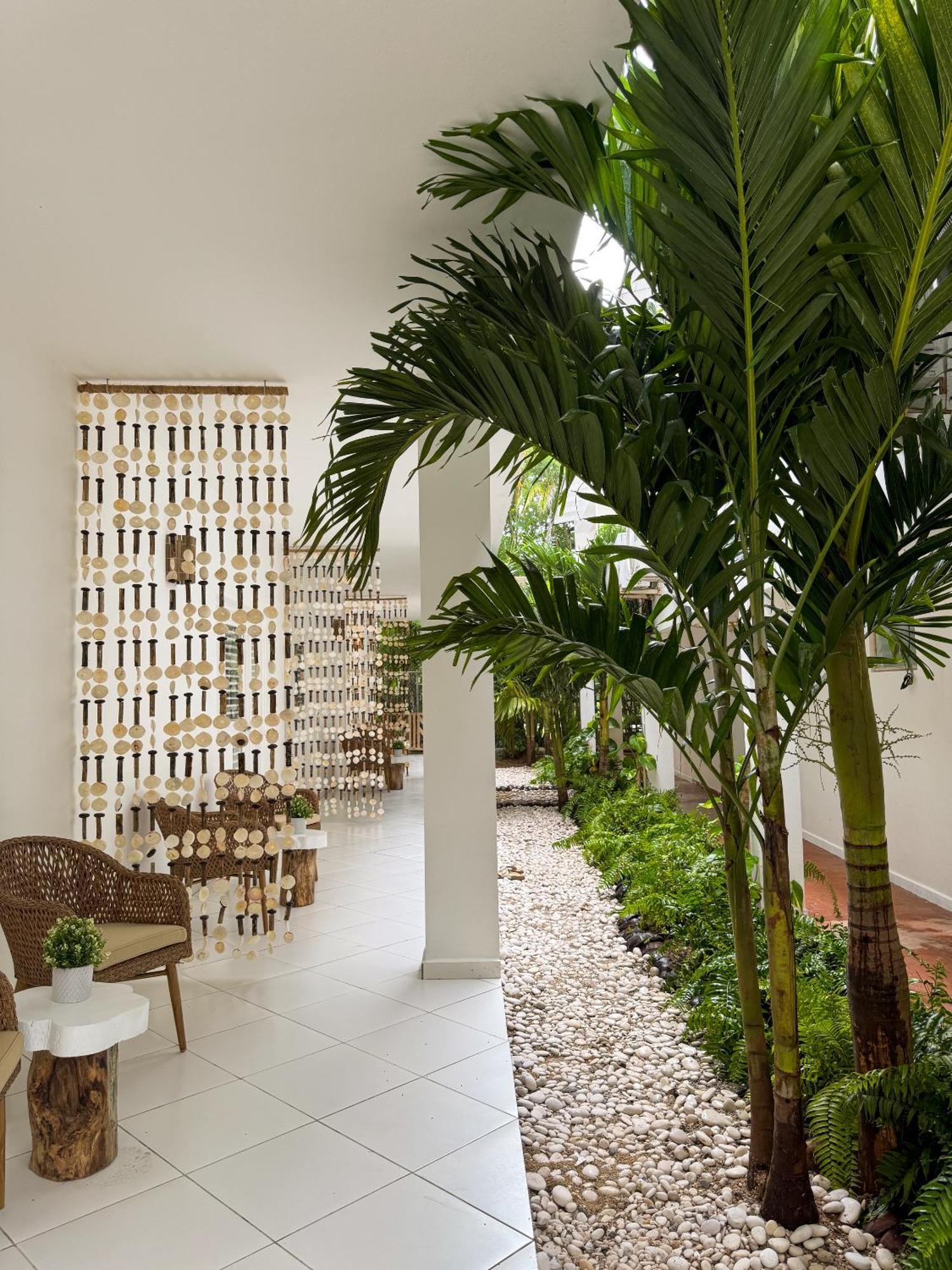 El Mosquito Boutique Hotel Playa Bonita Las Terrenas Zewnętrze zdjęcie