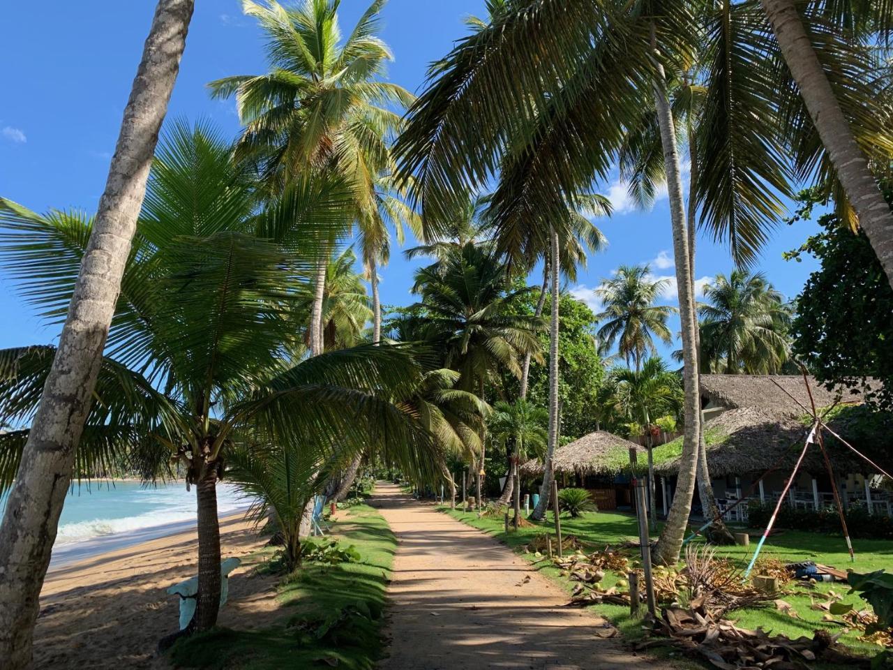 El Mosquito Boutique Hotel Playa Bonita Las Terrenas Zewnętrze zdjęcie