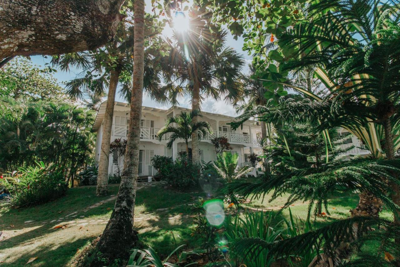 El Mosquito Boutique Hotel Playa Bonita Las Terrenas Zewnętrze zdjęcie